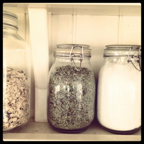 garden-harvest-oregano