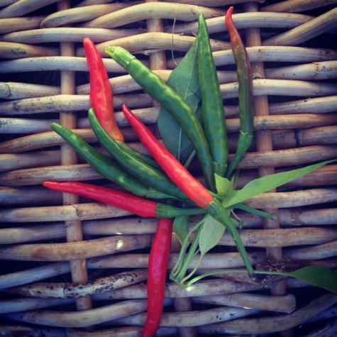 fresh chilli